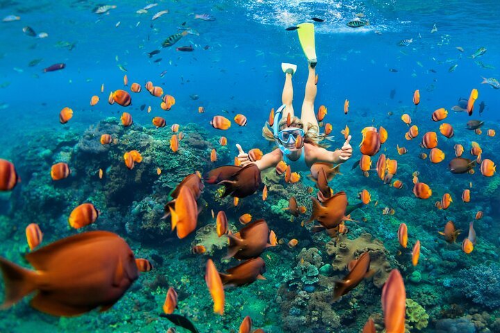 Marsa Mubarak Full-Day Snorkeling Trip with Lunch from Marsa Alam