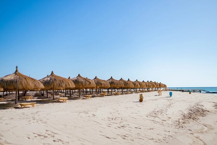 Bateau rapide privé vers l'île de Hula Hula et plongée en apnée depuis Hurghada