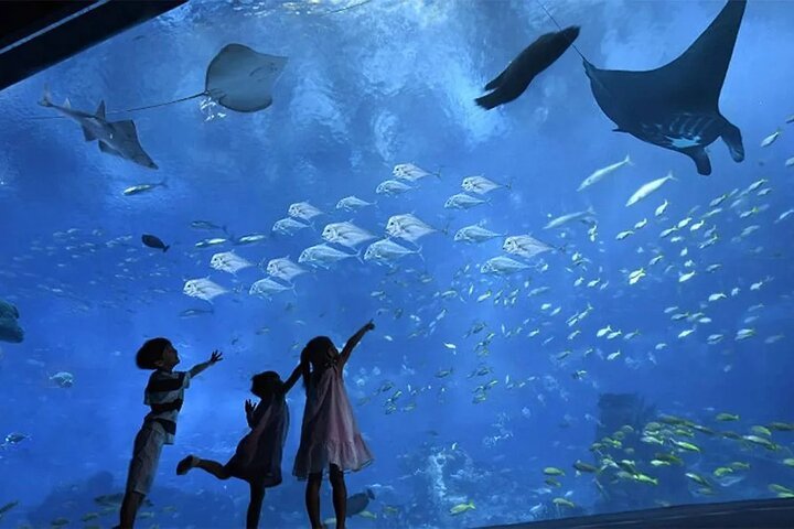 Hurghada Grand Aquarium Entdeckungstour mit Tickets & Transfers